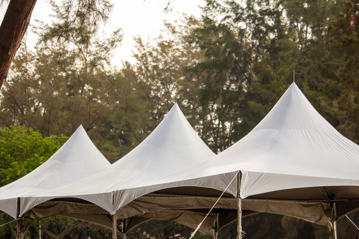 White frame tents set up for an outdoor event